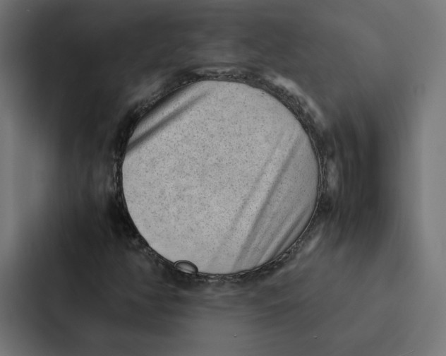 X0000087311350200705112108