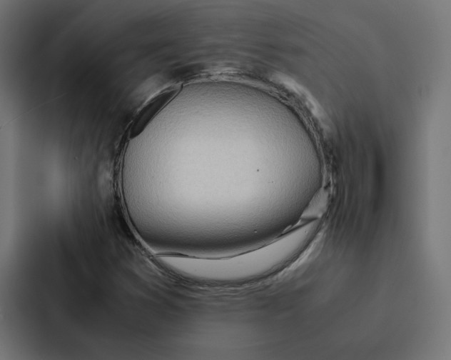 X0000087311353200705112108