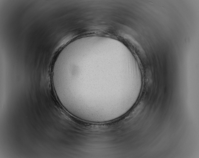 X0000087311354200705112108