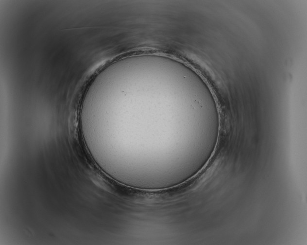 X0000087311355200705112108