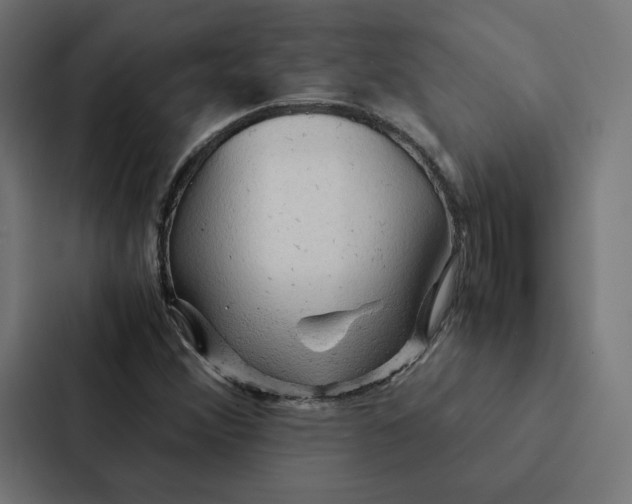 X0000087311356200705112108