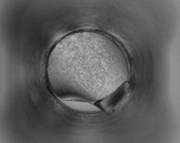 X0000087311359200705112108