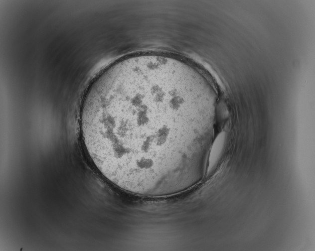 X0000087311363200705112108