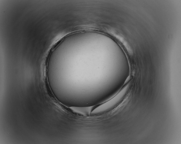 X0000087311365200705112108