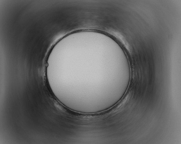 X0000087311366200705112108