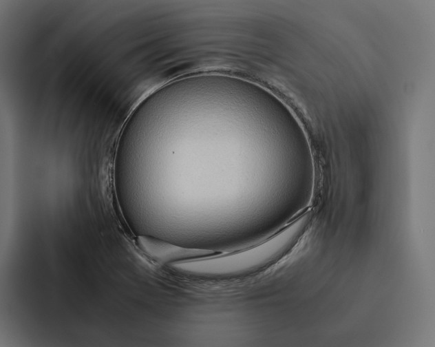 X0000087311369200705112108