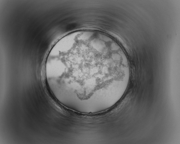 X0000087311371200705112108