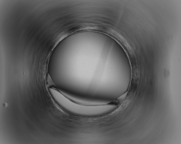 X0000087311377200705112108