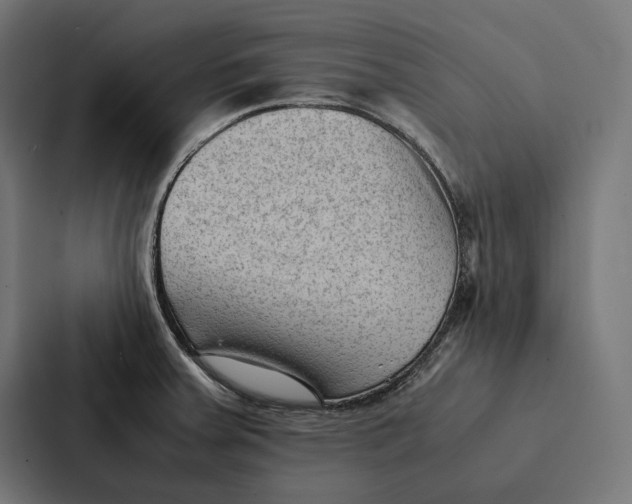 X0000087311379200705112108