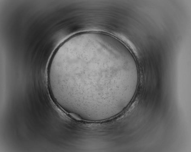 X0000087311380200705112108