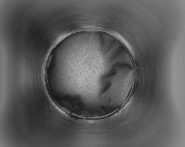 X0000087311381200705112108