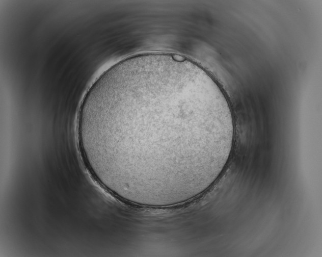 X0000087311382200705112108