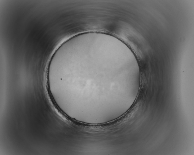 X0000087311383200705112108