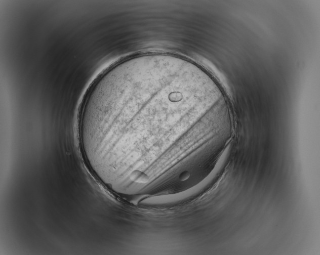 X0000087311384200705112108