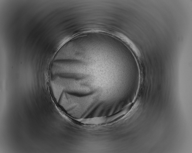 X0000087311385200705112108