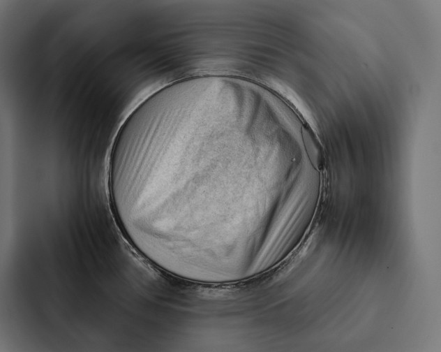 X0000087311386200705112108