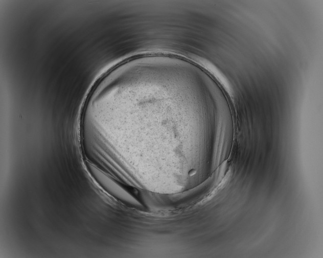 X0000087311388200705112108