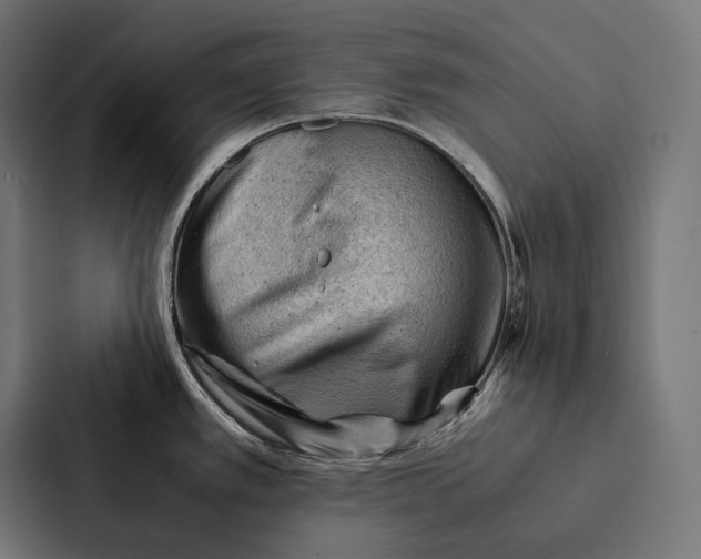 X0000087311389200705112108