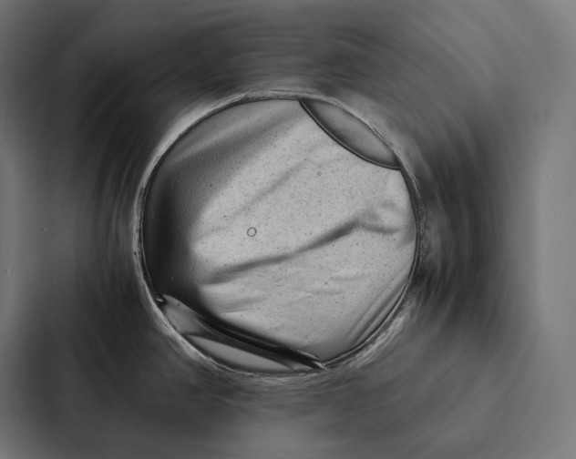 X0000087311390200705112108