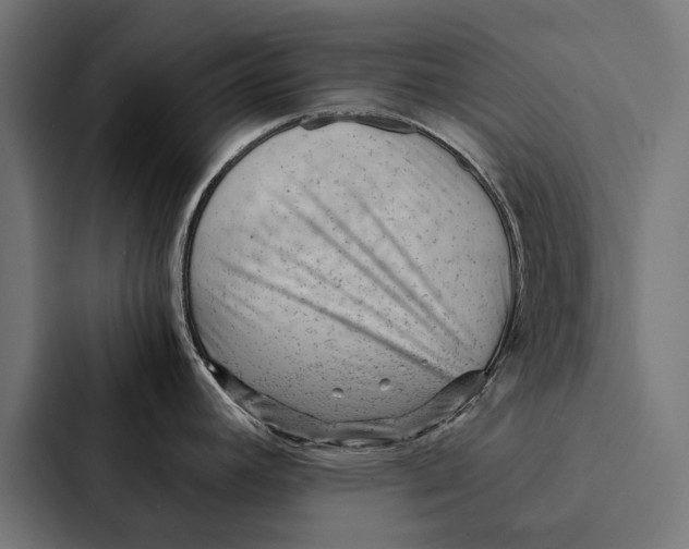 X0000087311392200705112108