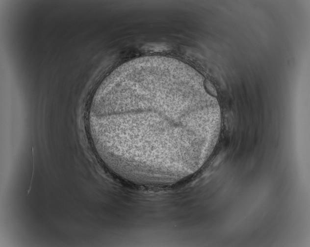 X0000087311393200705112107