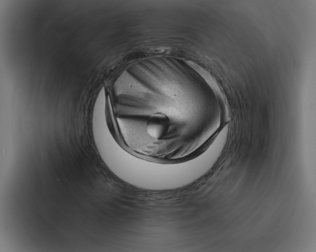 X0000087311394200705112107