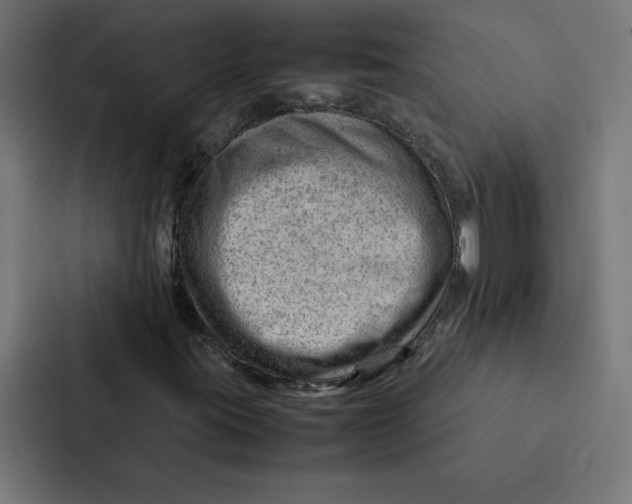 X0000087311395200705112107