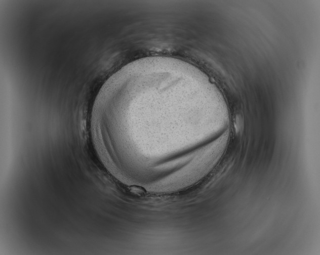 X0000087311396200705112107