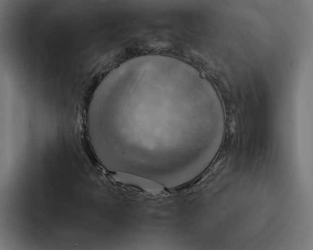 X0000087311397200705112107