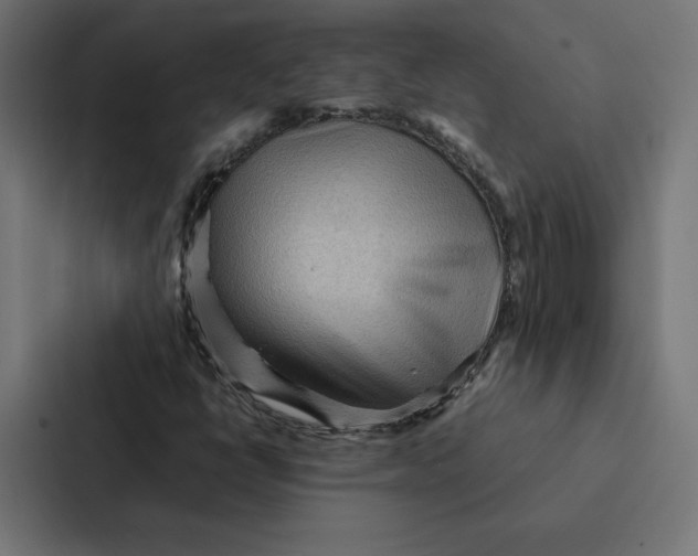 X0000087311398200705112107