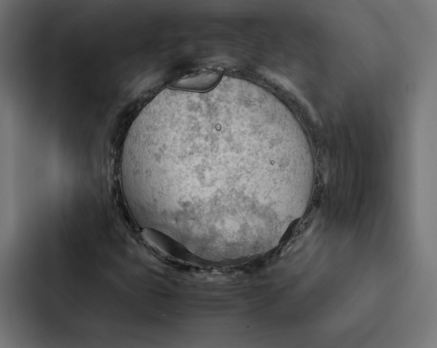 X0000087311399200705112107