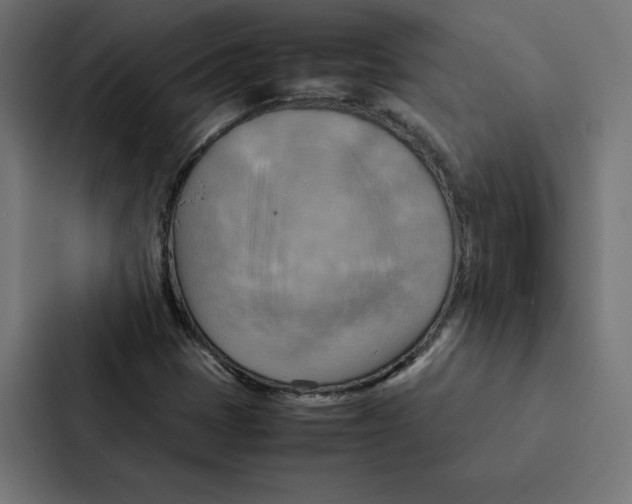 X0000087311401200705112107