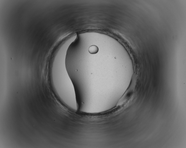 X0000087311402200705112107