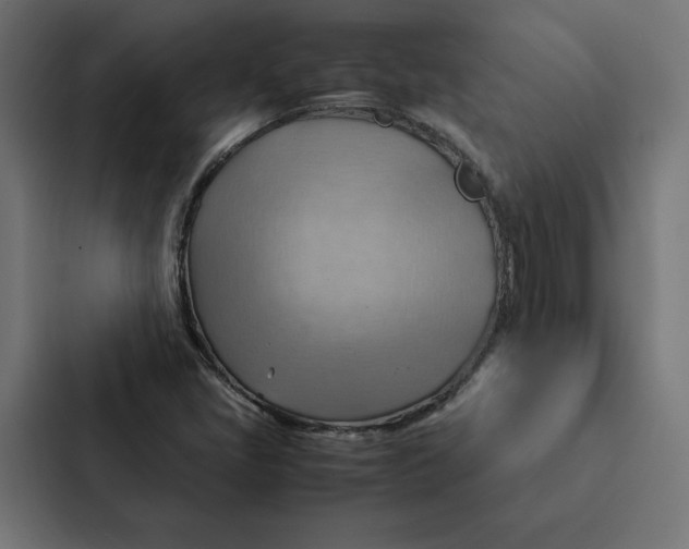 X0000087311405200705112107