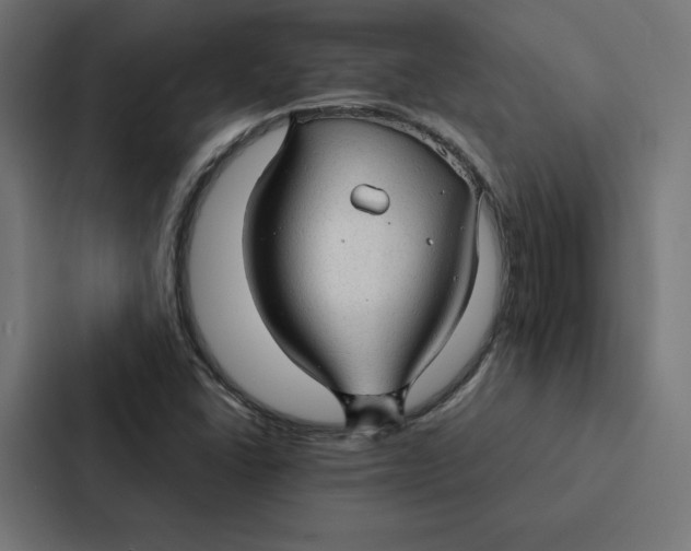 X0000087311406200705112108