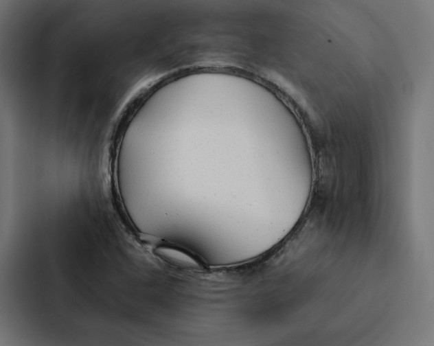 X0000087311408200705112108