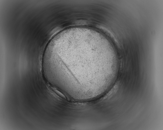 X0000087311409200705112108