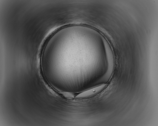 X0000087311416200705112108