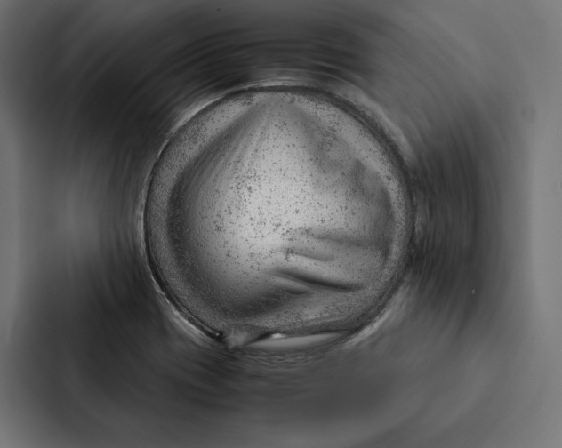 X0000087311417200705112108