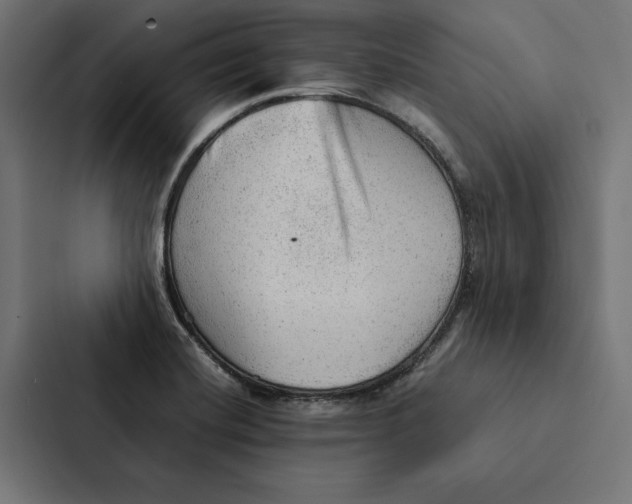 X0000087311420200705112108