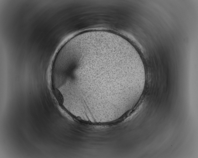 X0000087311421200705112108