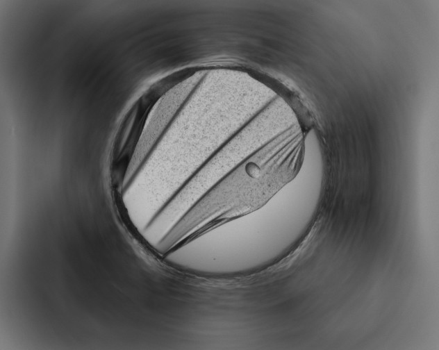 X0000087311422200705112108