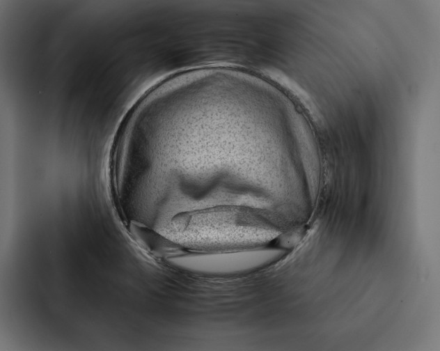 X0000087311423200705112108