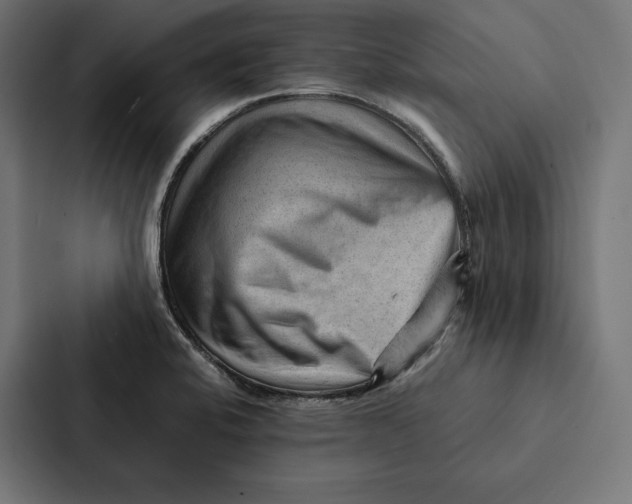 X0000087311424200705112108