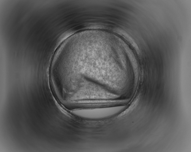 X0000087311425200705112108