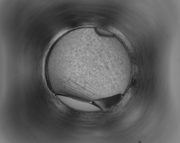 X0000087311427200705112108