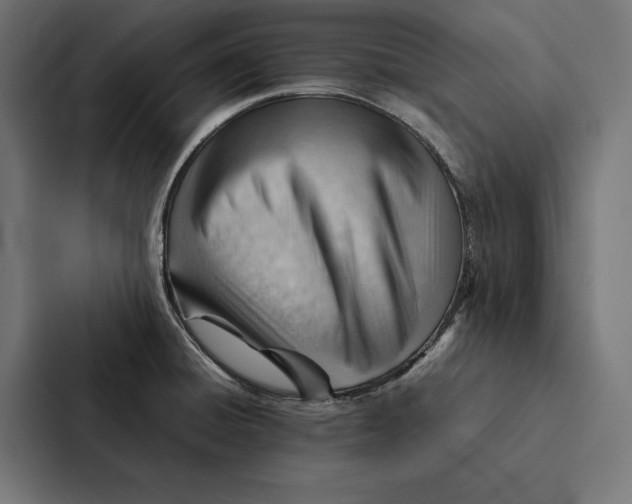 X0000087311428200705112108