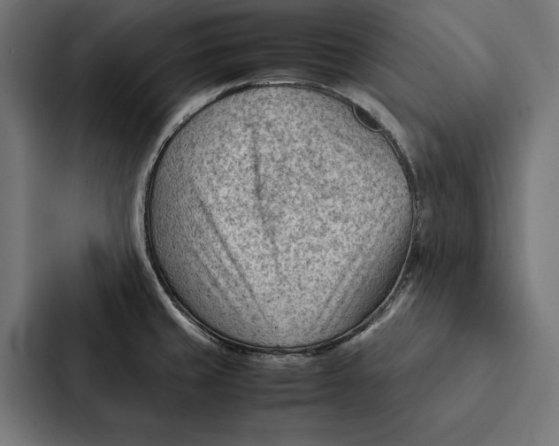 X0000087311429200705112108