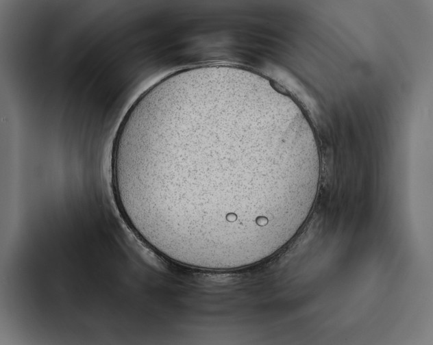 X0000087311431200705112108