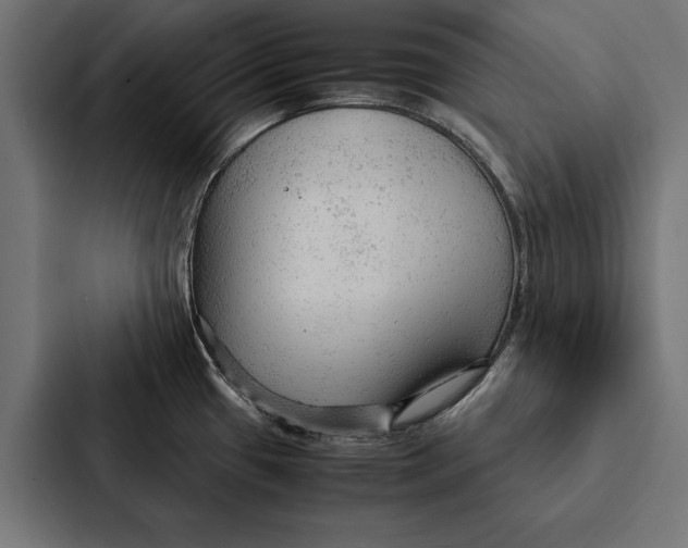 X0000087311433200705112108